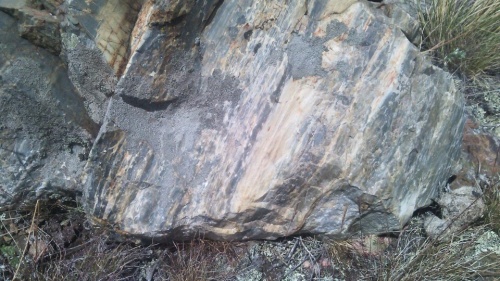 Гигантские зелёные валуны для ландшафтного дизайна весом более 5 тонн купить в Ступино