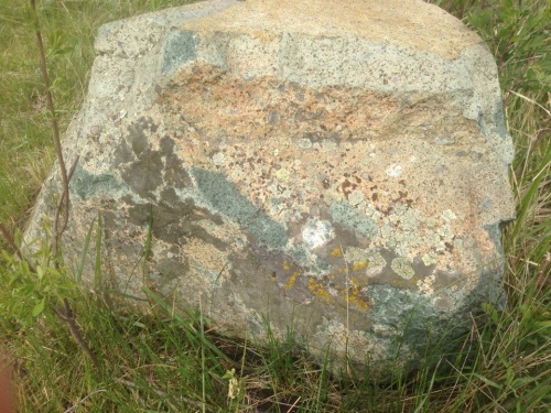 Гигантские зелёные валуны для ландшафтного дизайна весом более 5 тонн купить в Ступино