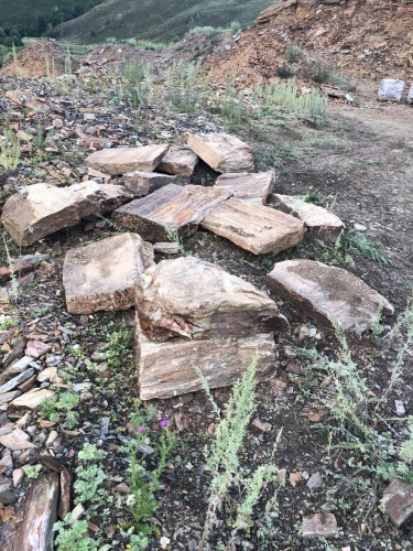 Плитняк кора дерева 50-100мм для пошаговых дорожек купить в Ступино